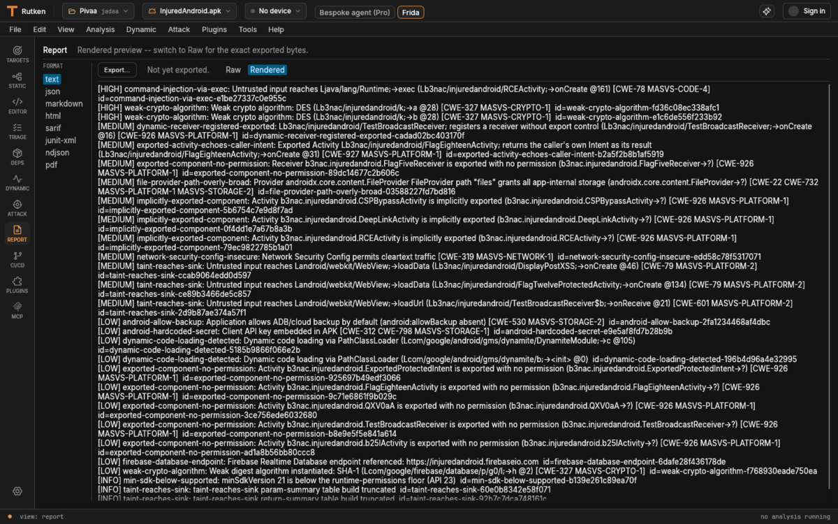 Rutken Report view: an export toolbar with Raw/Rendered toggle, and a rendered report listing each finding with severity, description, location, and CWE/MASVS mappings.